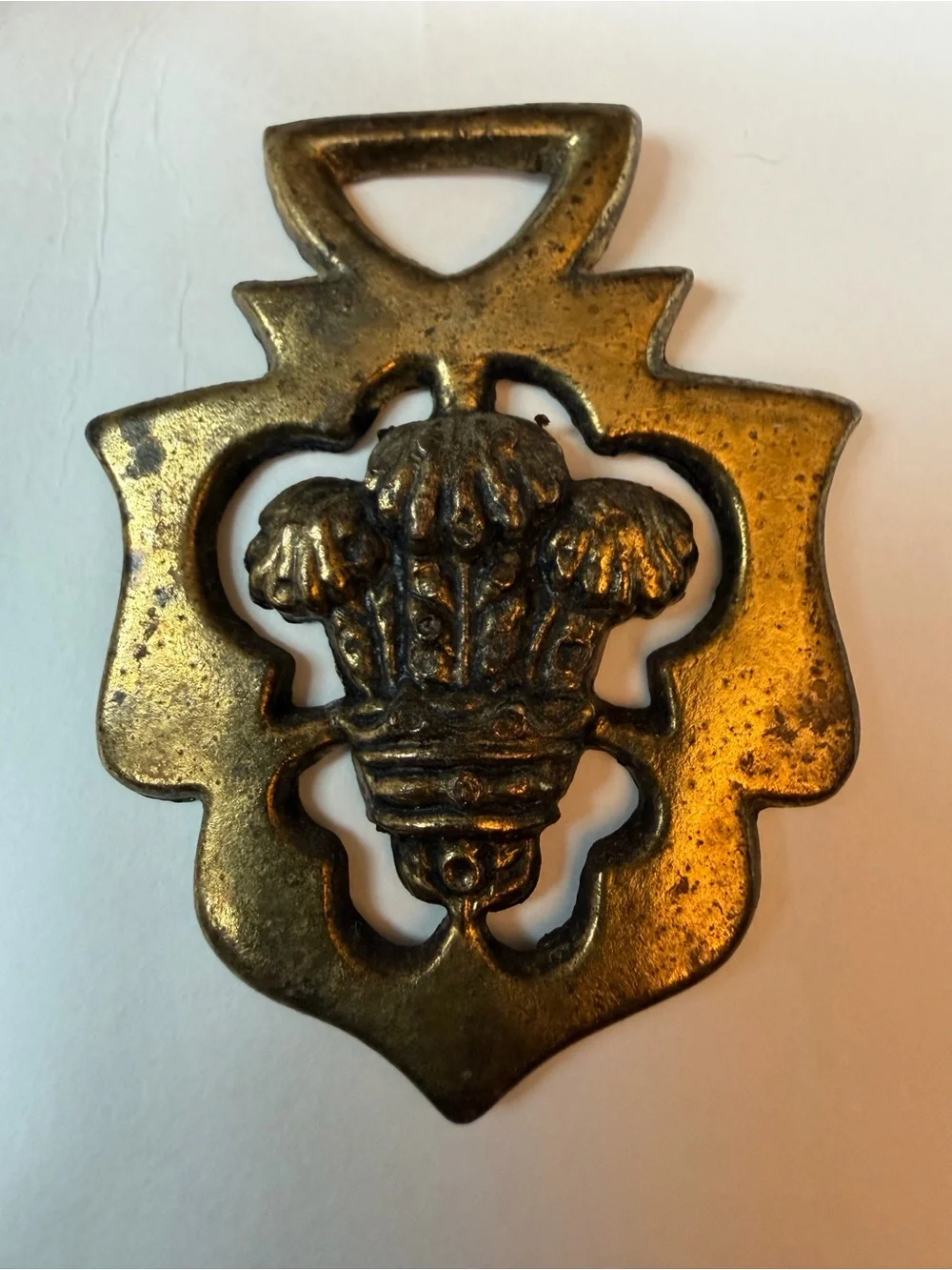 N/A medallion harness